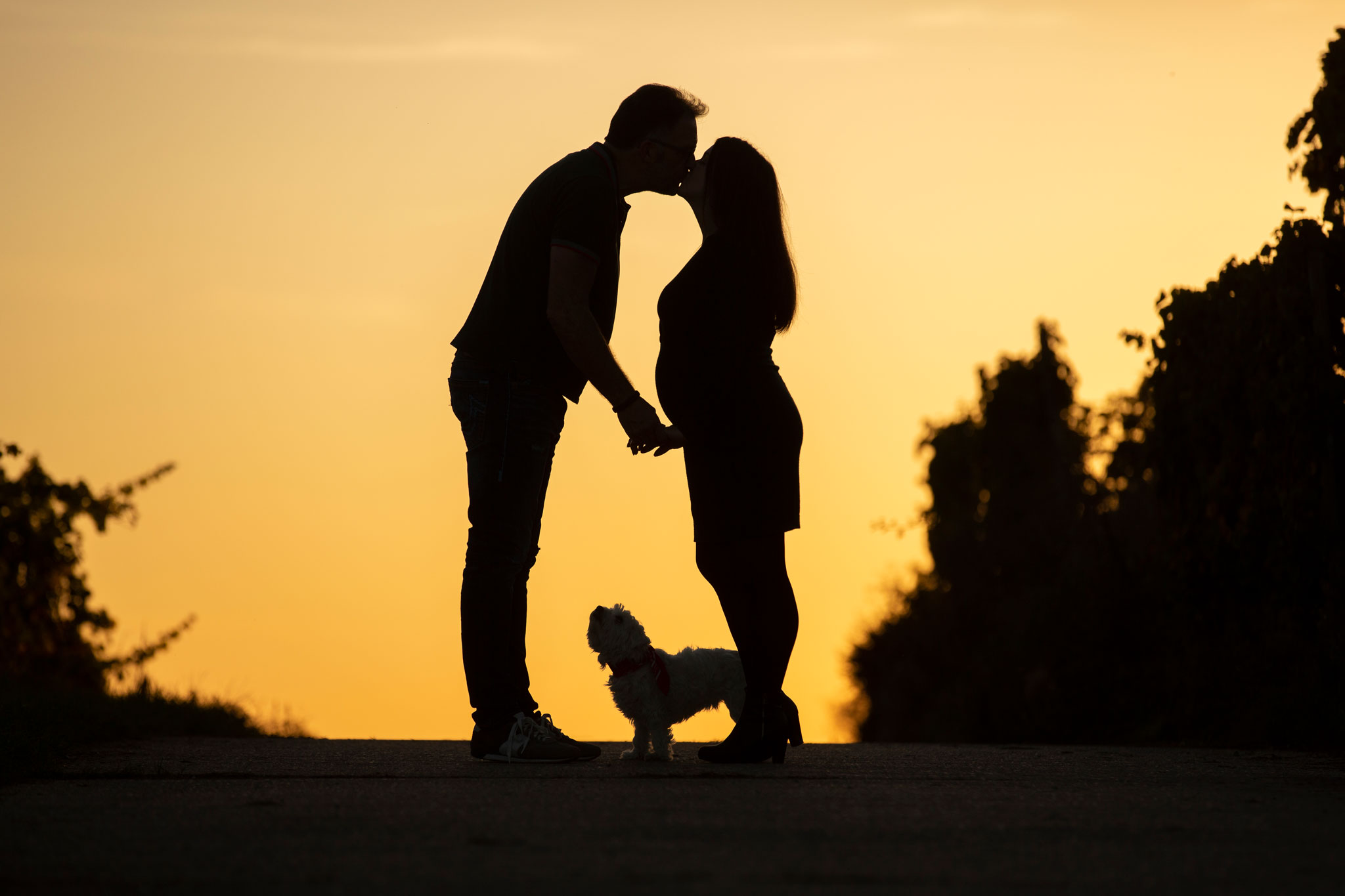 Babybauch, Paar steht sich gegenüber und küsst sich, kleiner Hund steht zu Füßen des Paares, Outdoor im Gegenlicht