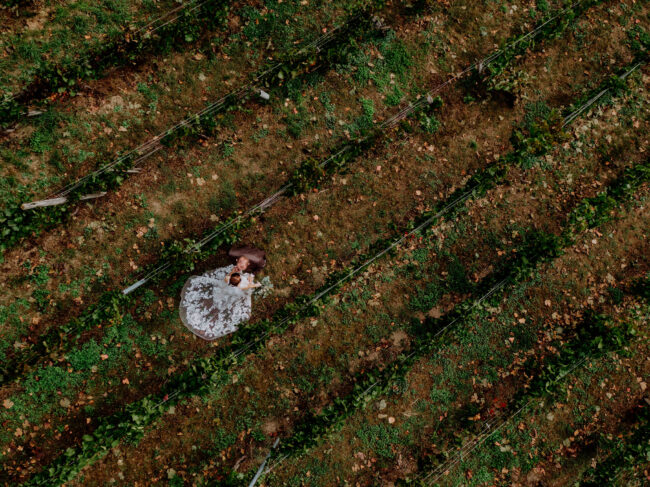 Hochzeit, Brautpaar Drohnenaufnahme, küssend zwischen grünen Weinreben