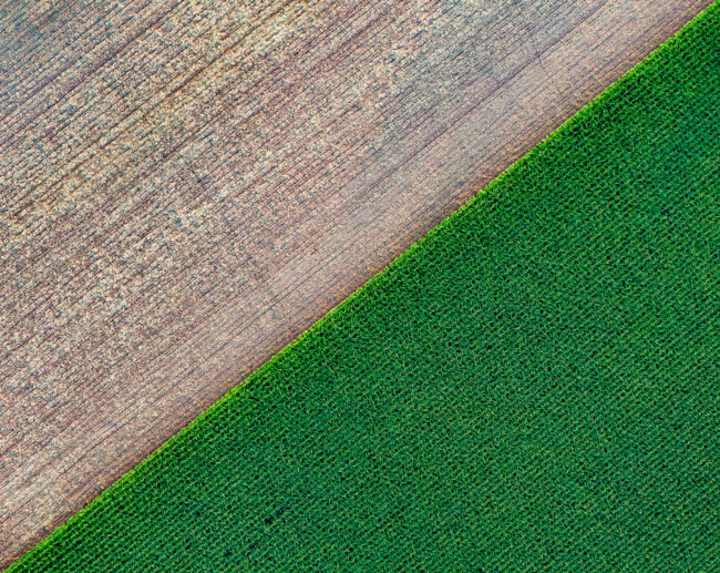 Drohnenaufnahme, Landschaft, abgeerntetes Feld und grünes Feld, Ackerlinie diagonal Verlaufend