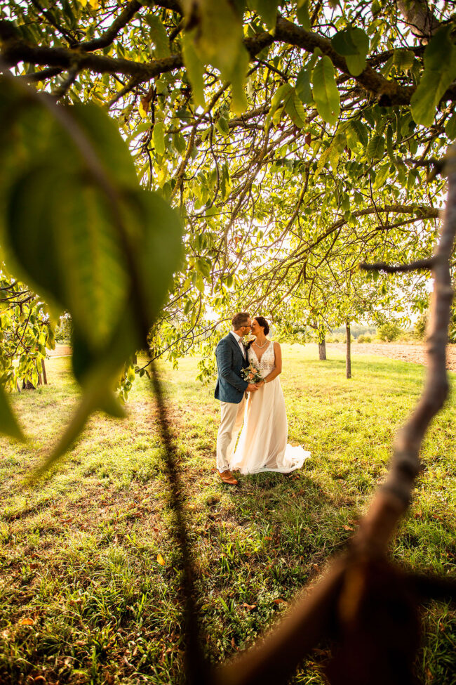 Hochzeit, Brautpaar steht unter einem Baum und schaut sich an, im Vordergrund sind Blätter