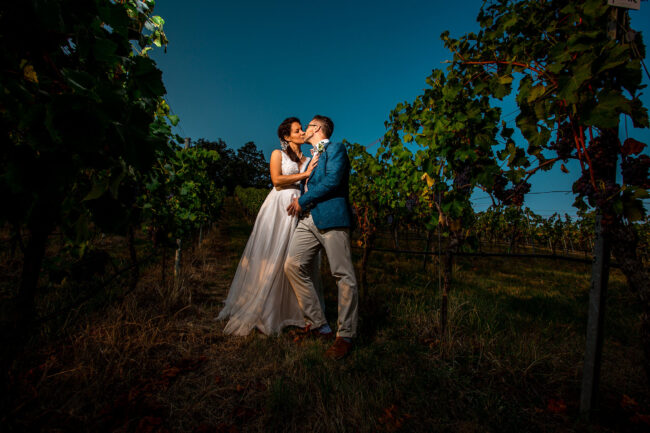 Hochzeit, Brautpaar steht zwischen Reben und küsst sich zur blauen Stunde