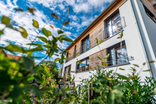 Architektur, Hausseite mit Teilholzfassade, Blick durch Büsche auf Haus bei Sonnenschein