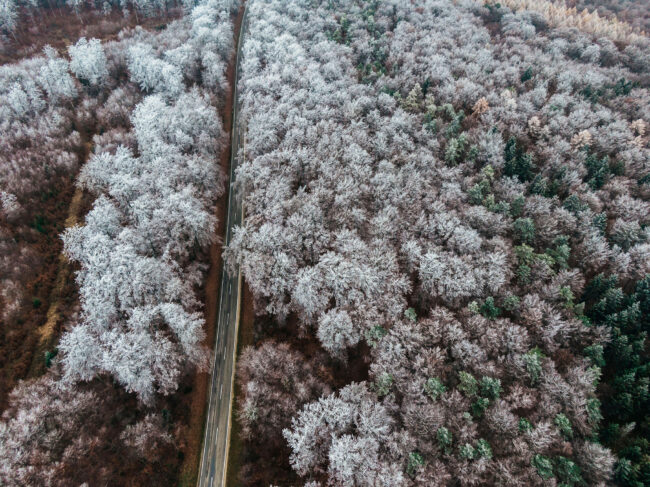 Drohnenaufnahme, Landschaft, Raureif bedeckter Wald, durch zogen von einer Landstraße