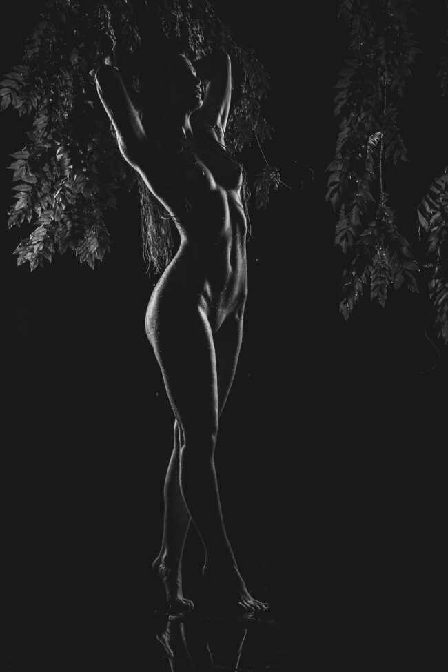 Sensual, Aktaufnahme stehende Frau, Arme hinter Kopf verschränkt, im Hintergrund Laub, Zangenbeleuchtung, Schwarz-Weiß