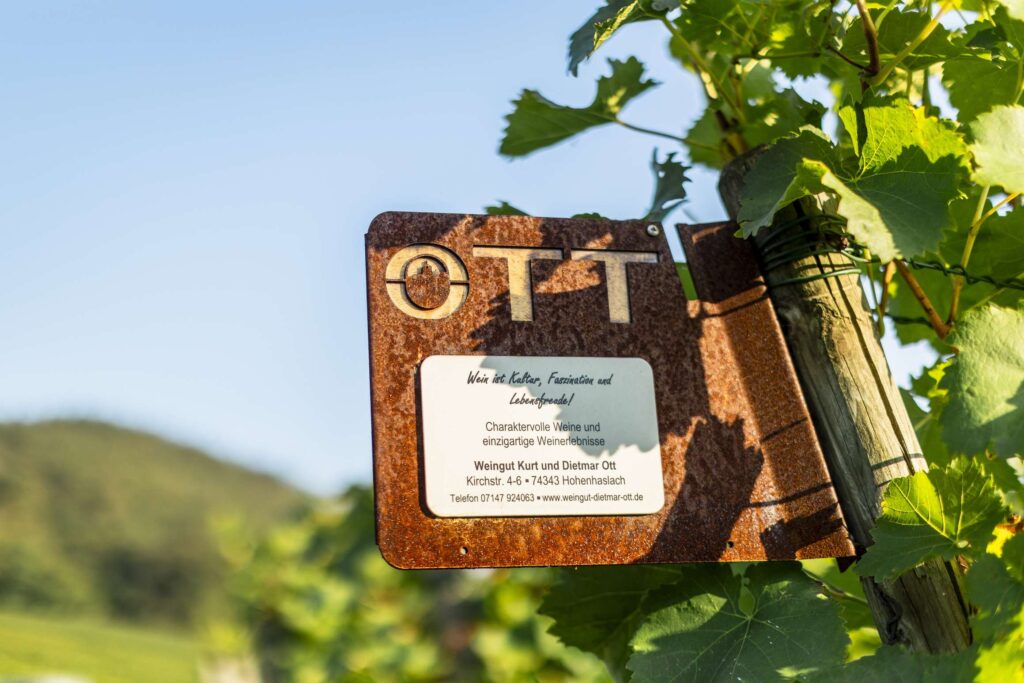 Holzvogelhaus mit Beschriftung zwischen Weinreben in einem sonnigen Weinberg.