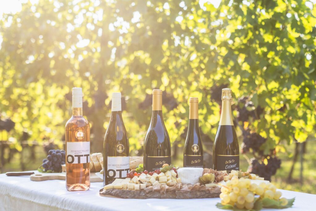 Verschiedene Weinflaschen auf einem Tisch mit Weintrauben im Hintergrund eines sonnigen Weinbergs.