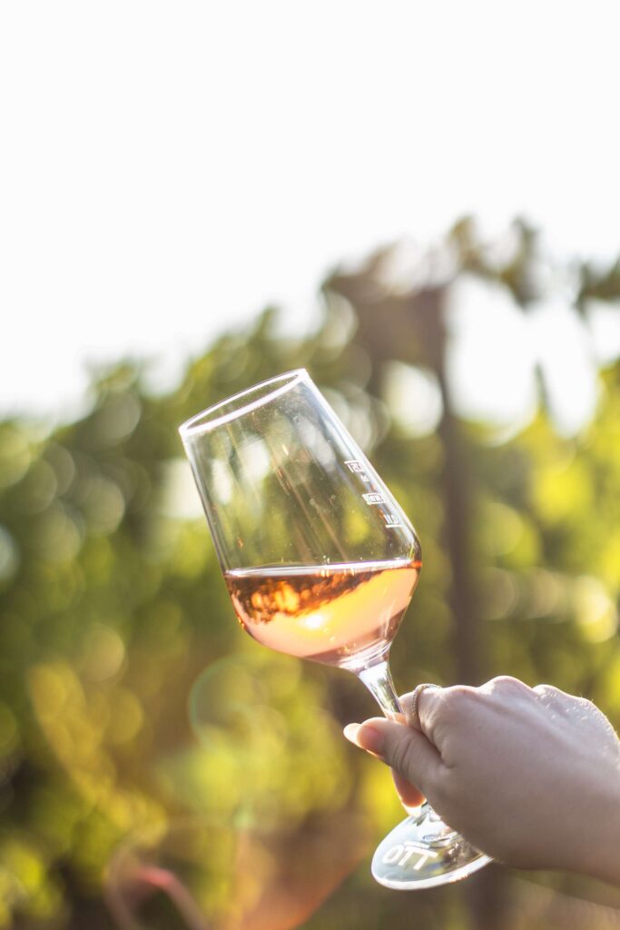 Ein Glas Wein wird in einem sonnigen Weinberg hochgehalten.